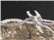 Black/Realtree Edge